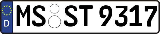 MS-ST9317