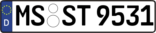 MS-ST9531