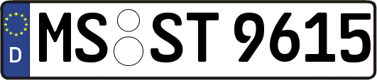 MS-ST9615