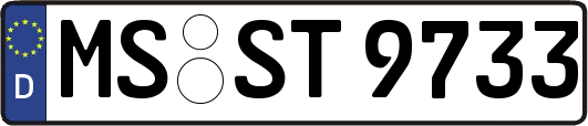 MS-ST9733