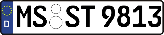 MS-ST9813
