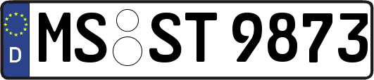MS-ST9873