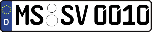 MS-SV0010