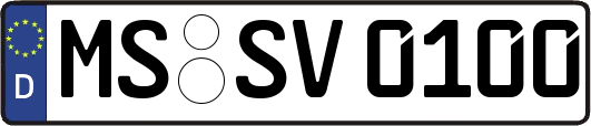 MS-SV0100