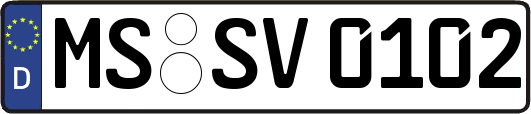 MS-SV0102