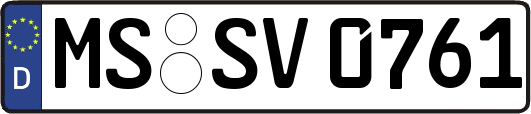 MS-SV0761