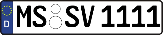 MS-SV1111