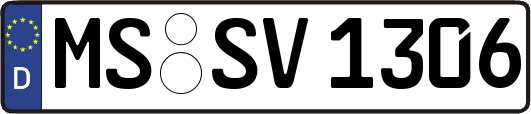 MS-SV1306