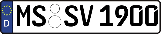 MS-SV1900