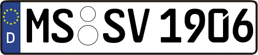 MS-SV1906