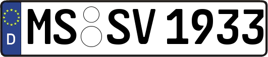 MS-SV1933