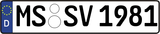 MS-SV1981