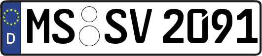 MS-SV2091
