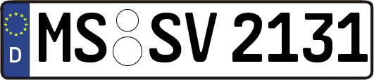 MS-SV2131