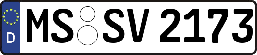 MS-SV2173