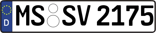 MS-SV2175