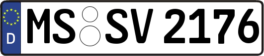 MS-SV2176