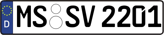 MS-SV2201