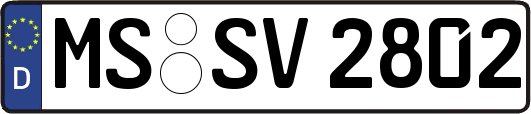 MS-SV2802