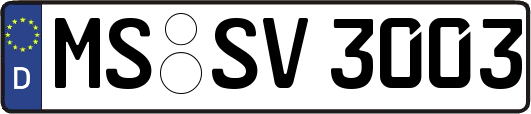 MS-SV3003