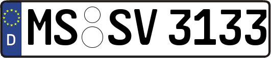 MS-SV3133
