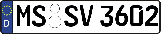 MS-SV3602