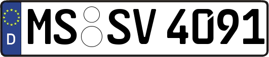 MS-SV4091