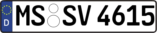 MS-SV4615
