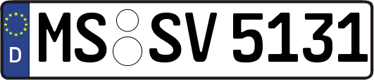 MS-SV5131