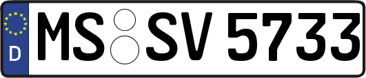 MS-SV5733