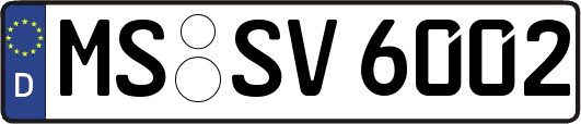 MS-SV6002