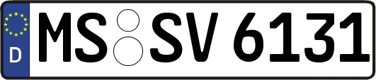 MS-SV6131