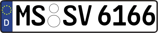 MS-SV6166