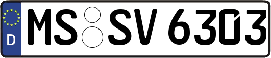MS-SV6303