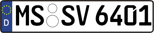 MS-SV6401