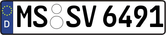 MS-SV6491
