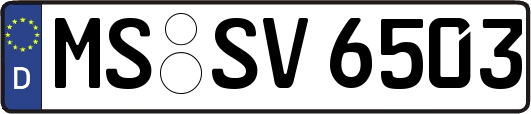MS-SV6503
