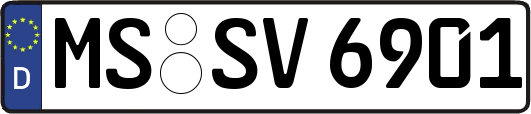 MS-SV6901