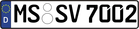 MS-SV7002