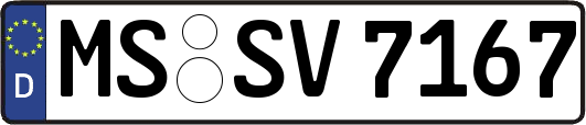 MS-SV7167