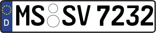 MS-SV7232