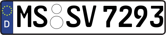 MS-SV7293