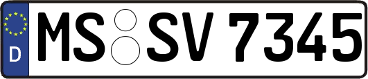 MS-SV7345