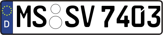 MS-SV7403