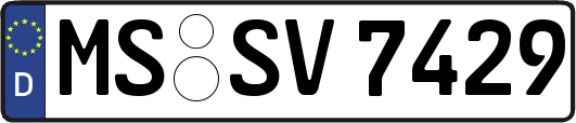 MS-SV7429