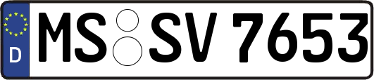 MS-SV7653