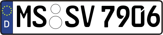 MS-SV7906