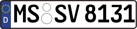 MS-SV8131