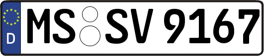 MS-SV9167