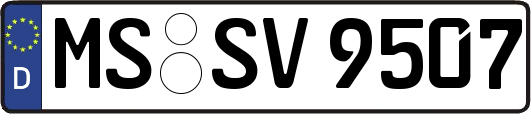 MS-SV9507